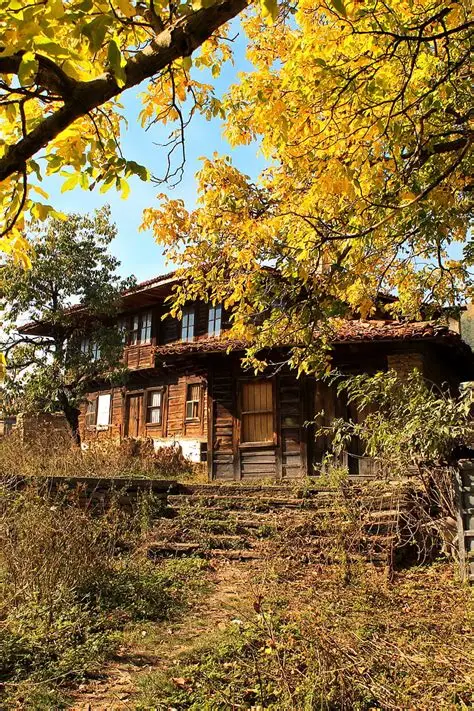 【今日之星】犰狳媽媽如何為孩子找尋適合的學習環境？